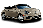 Beetle